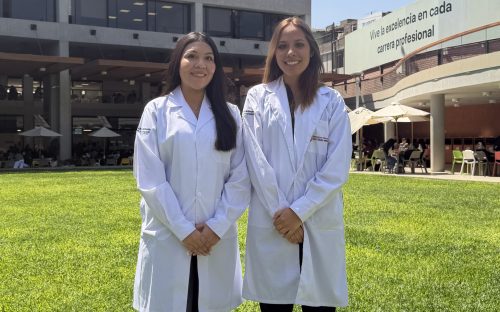 instructores_estoma